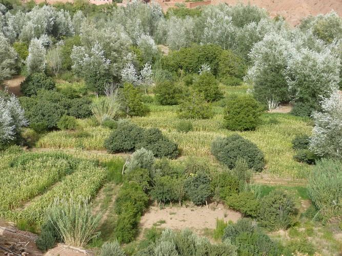 Kasbah Ait Arbi Hotel Ait Ougliff Exterior foto